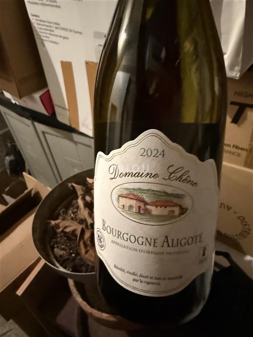 Burgundi Bourgogne Aligoté Domaine Chêne 2024