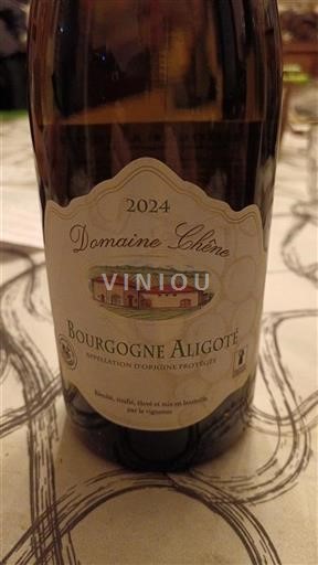 Burgundi Bourgogne Aligoté Domaine Chêne 2024