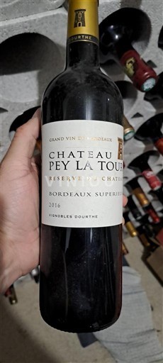 Bordeaux Bordeaux superiore Château Pey la Tour Réserve du Château 2016