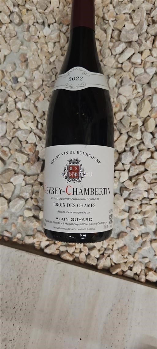 Borgoña Gevrey-Chambertin Grand Cru Alain Guyard Croix des Champs 2022