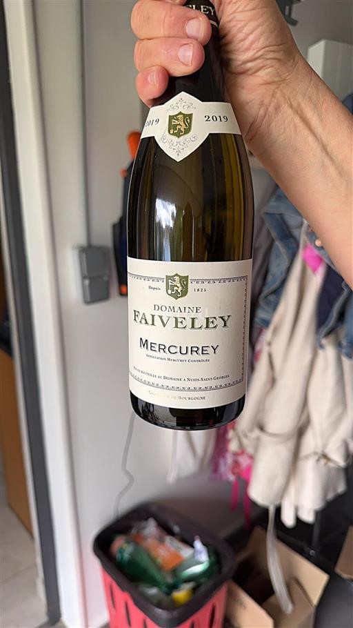 Bourgogne Mercurey Domaine Faiveley 2019