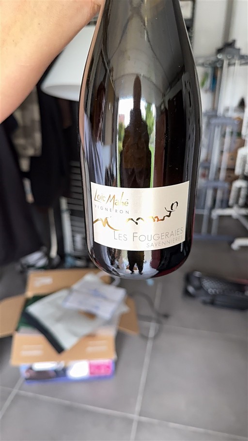 Loiren laakso Savennières Loic Mahé Les Fougeraies 2012