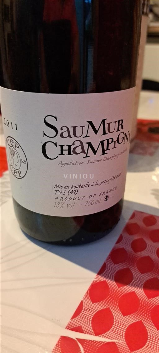 Valle della Loira Saumur-Champigny TGS 2011