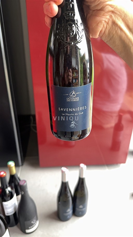 Loiren laakso Savennières Domaine Des Forges Le Moulin du Gué 2016