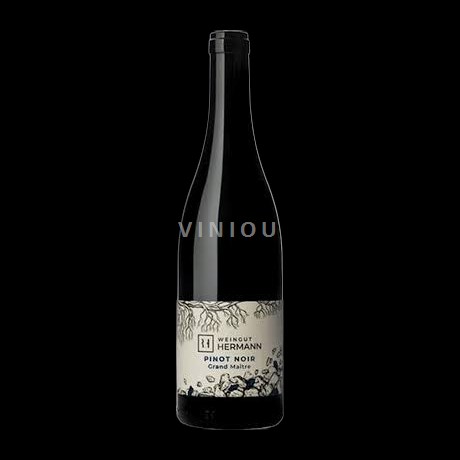 Graubünden Graubünden AOC Weingut Hermann Grand Maître - Pinot Noir 2020