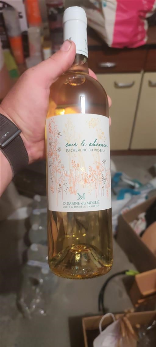 South West Pacherenc-du-Vic-Bilh Domaine Moulié Sur le chemin 2021
