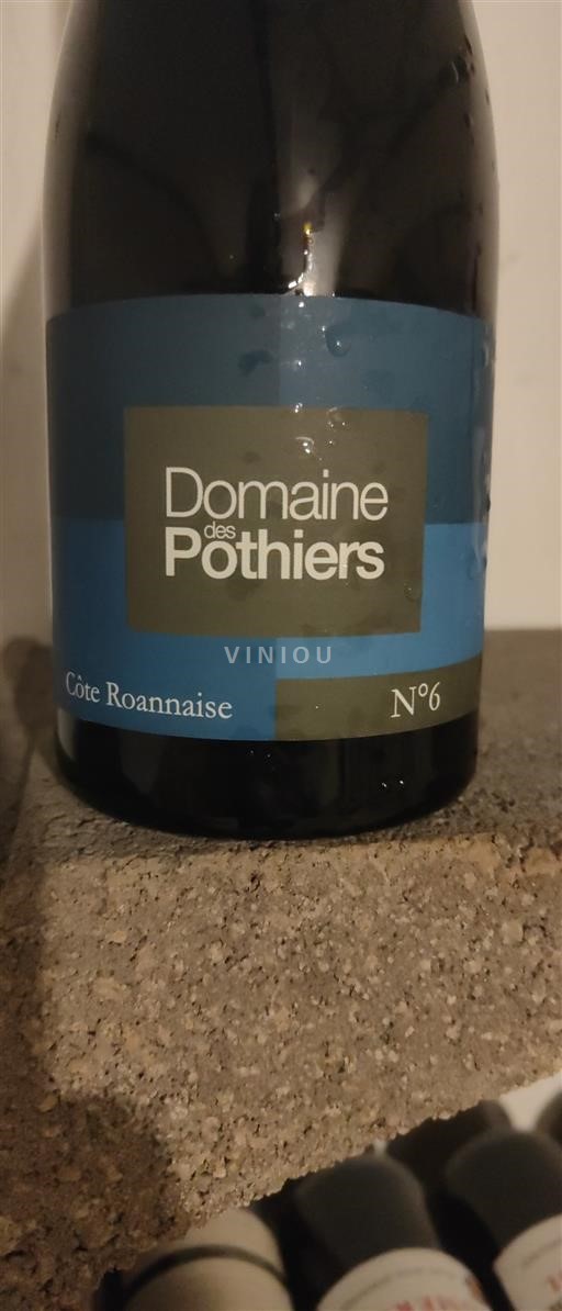 Vin Rouge sec N°6 Domaine Des Pothiers 2023 France Vallée de la Loire Côte-roannaise AOC biodynamie