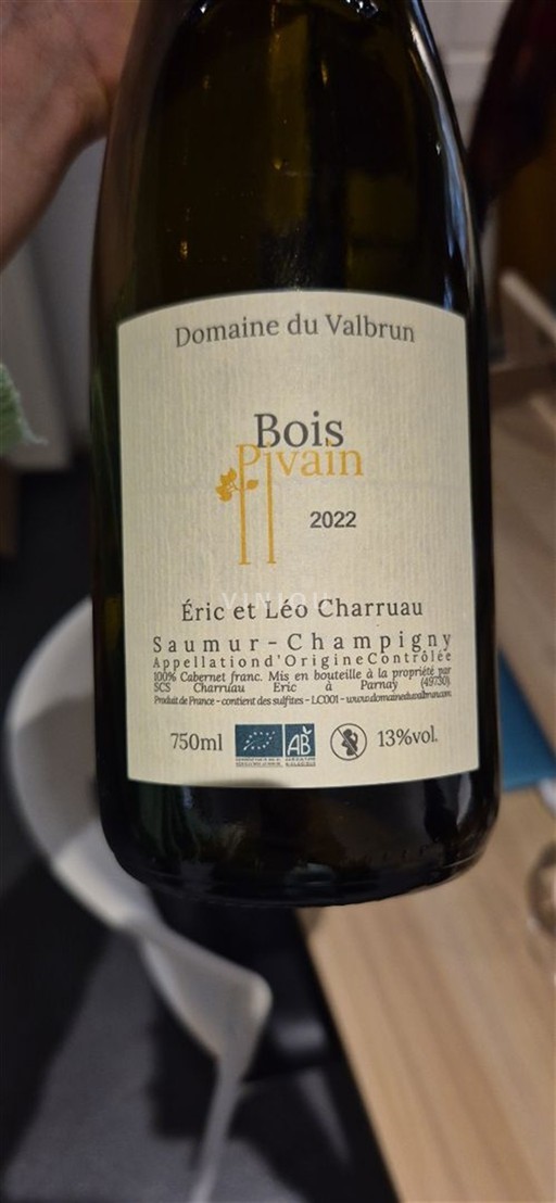 Valle della Loira Saumur-Champigny Domaine Valbrun Bois Pivain 2022