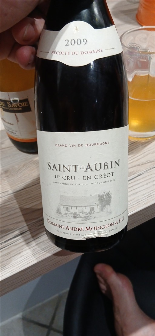 Burgundsko Saint-Aubin Premier Cru Domaine André Moingeon & Fils En Créot 2009