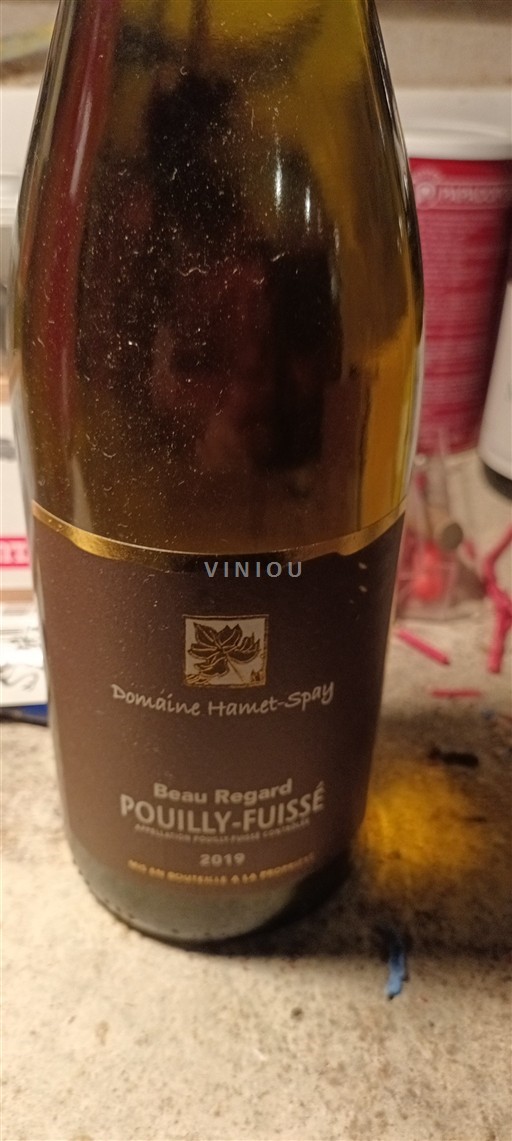 Burgundsko Pouilly-fuissé Domaine Hamet-Spay Beau Regard 2019