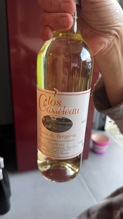 Lounais-Ranska Côtes-de-bergerac Clos le Casteleau 2022