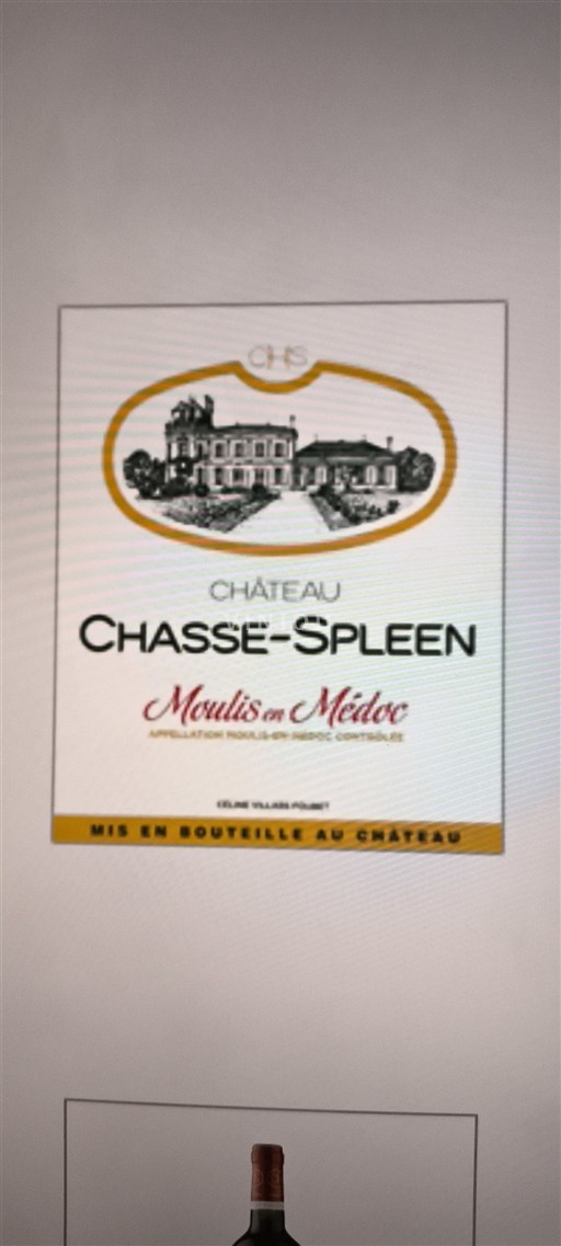Bordeaux Moulis-en-Médoc Château Chasse-Spleen 2024