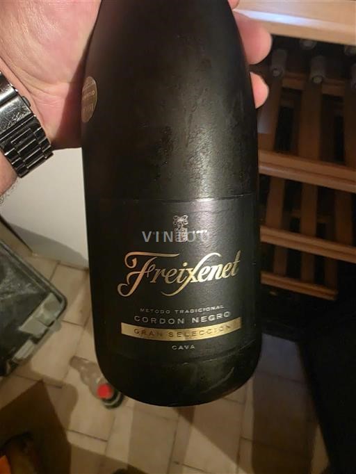 Catalogna Cava Freixenet Cordon Negro Senza annata
