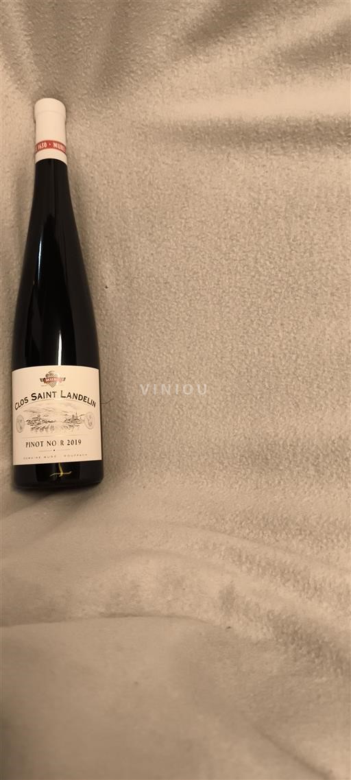 Alsace Grand Cru Clos Saint Landelin 2019