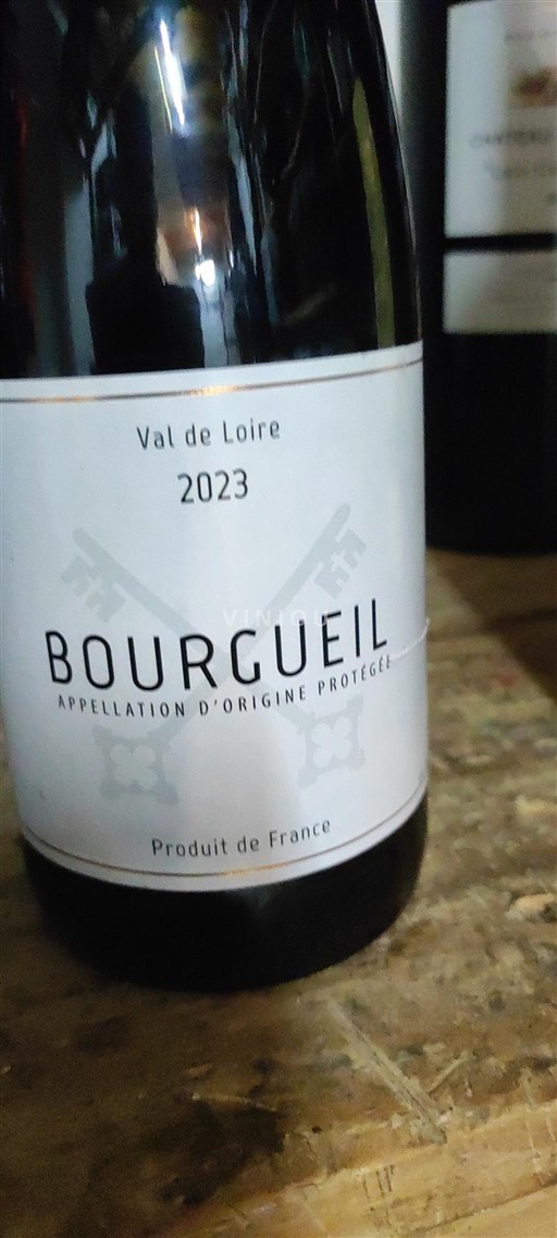 Valle della Loira Bourgueil Sans 2023