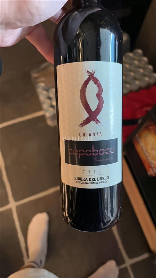 Castilien og León Ribera del Duero Copaboca Crianza 2016