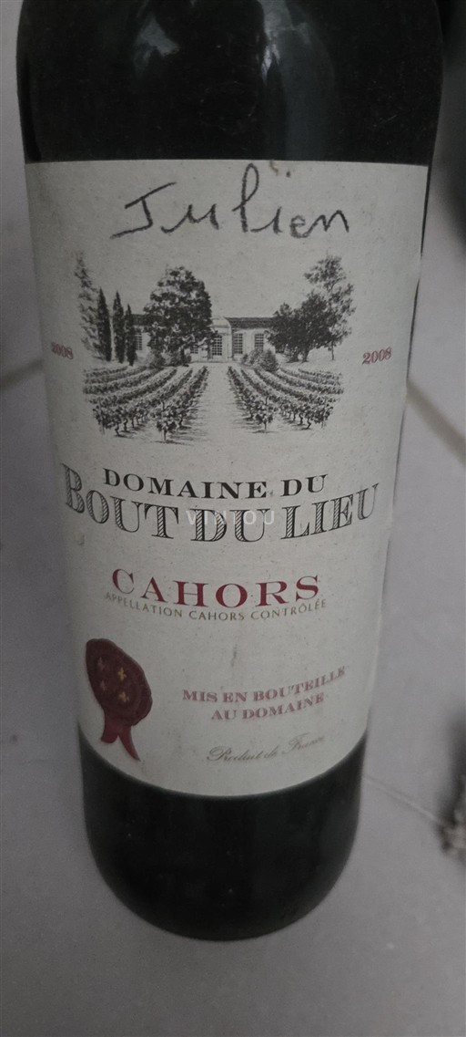 Southwest Cahors Domaine Bout du Lieu Julien 2008