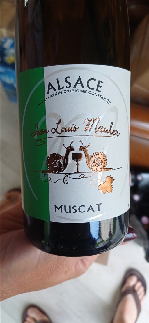 Alsace Grand Cru Jean Louis Mauler 2021