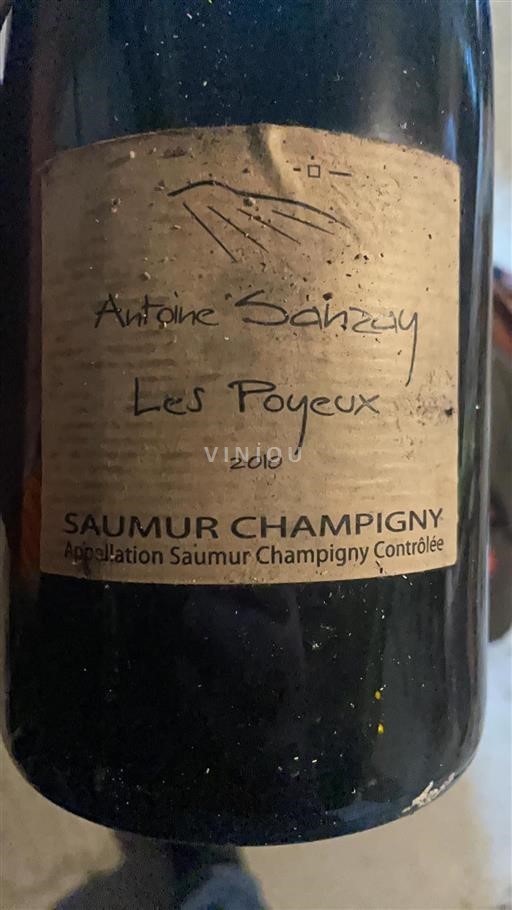 Valle della Loira Saumur-Champigny Antoine Sanzay Les Poyeux 2010