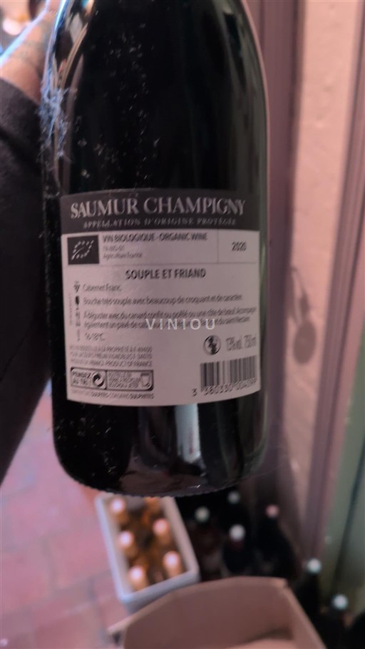 Valle della Loira Saumur-Champigny Frelin jacques 2020 2021