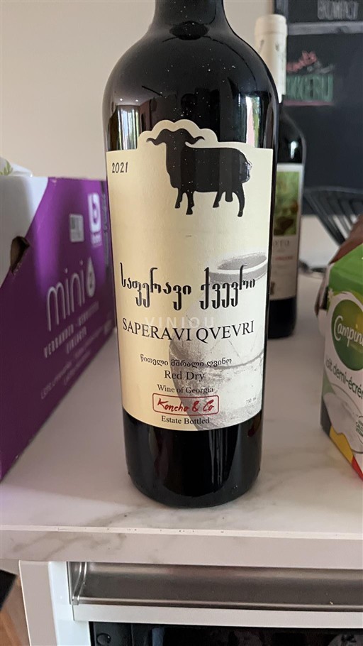 Kakheti Telavi Koncho & Co Saperavi Qvevri 2021