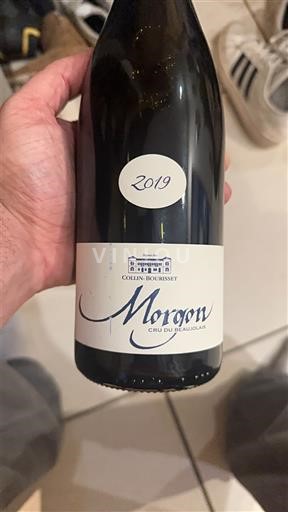 Beaujolais Morgon Collin-Bourisset 2019