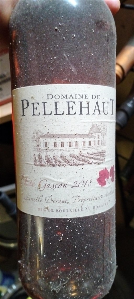 Südwestfrankreich Côtes de Gascogne Domaine Pellehaut Été Gascon 2018
