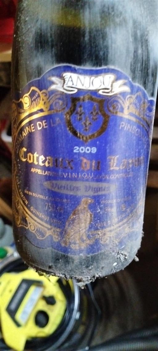Loiretal Anjou Domaine La Pinsonnière Vieilles Vignes 2009