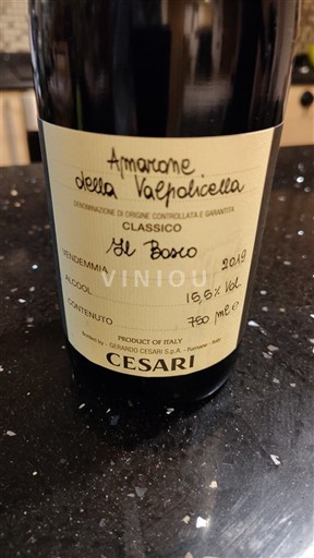 Vénétie Amarone della Valpolicella Cesari Il Bosco 2019