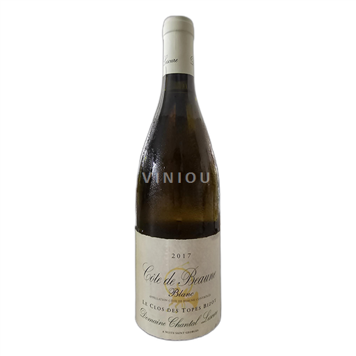 Bourgogne Côte de Beaune Domaine Chantal Lescure Le Clos des Topes Bizot 2017