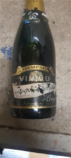 Champagne Joseph Perrier Icke årgångsbetecknad