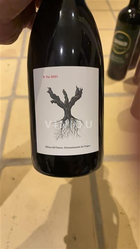 Castile and León Ribera del Duero Dominio de Pingus PSI 2021