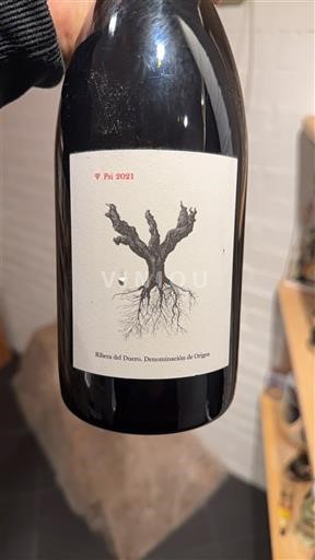 Castilla y León Ribera del Duero Dominio de Pingus PSI 2021