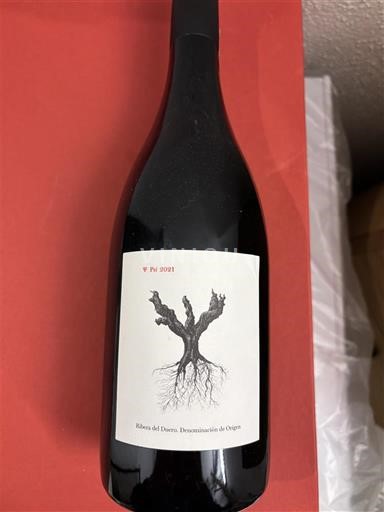 Castille và León Ribera del Duero Dominio de Pingus PSI 2021