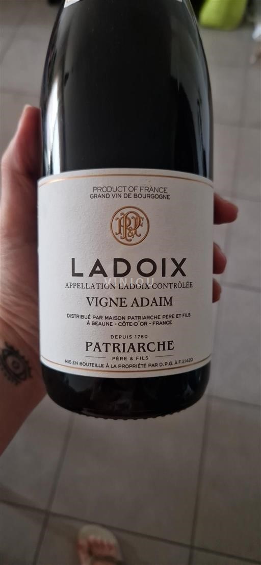 Burgund Ladoix Patriarche Vigne Adaim Ohne Jahrgang