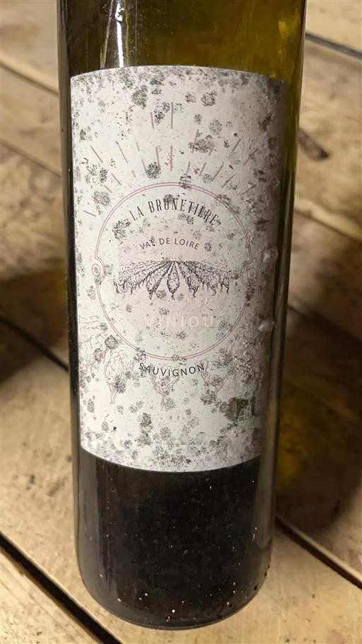 Dolina Loare Domaine La Brunetiere Neleten.