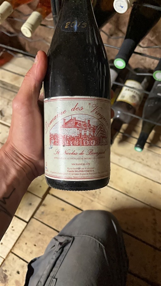 Loiretal Saint-Nicolas-De-Bourgueil Domaine Des Vingnobles 2015