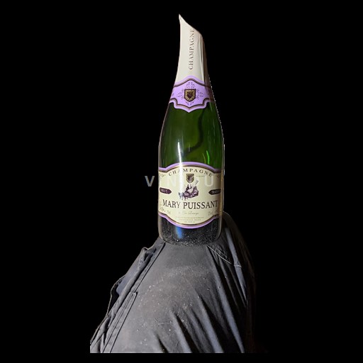 Champagne Mary Puissant Les Riceys Non Millésimé