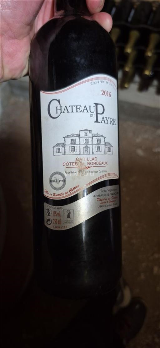 Bordeaux Cadillac-Côtes-de-Bordeaux Château Payre 2016