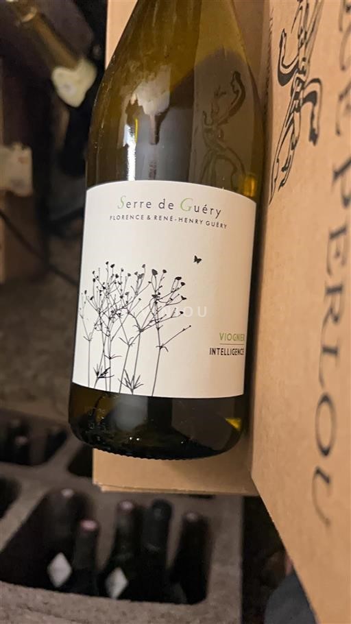 Languedoc Unspecified Serre de Guéry Intelligence 2024