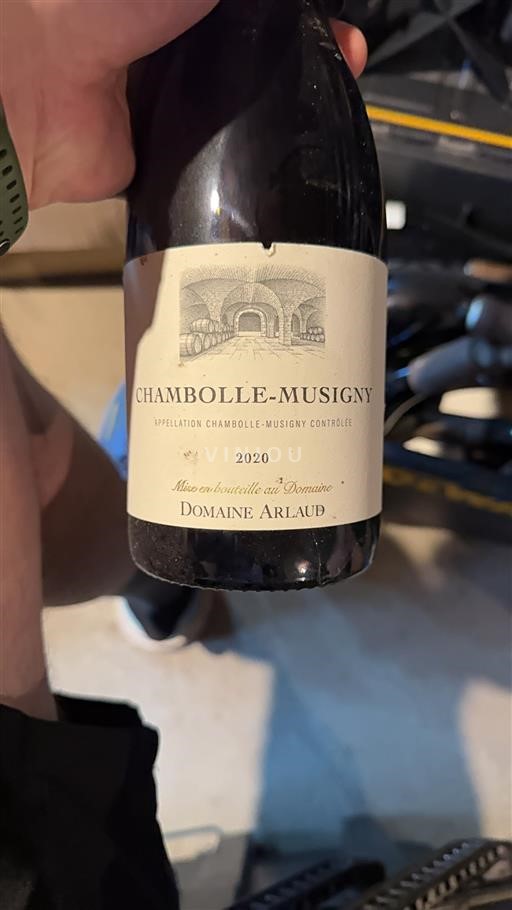 Burgund Chambolle-Musigny Domaine Arlaud 2020