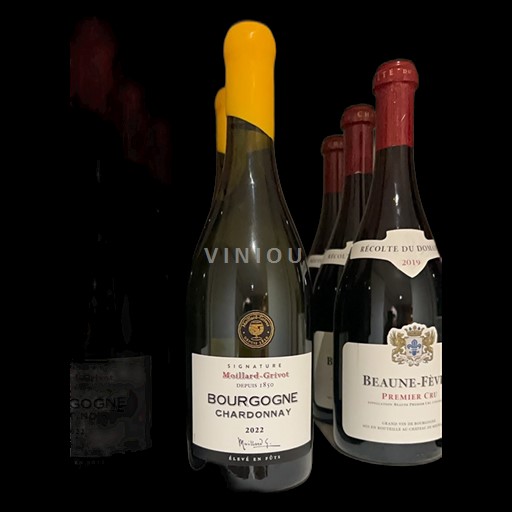 Vin Blanc sec Moillard-Grivot 2022 France Bourgogne AOC