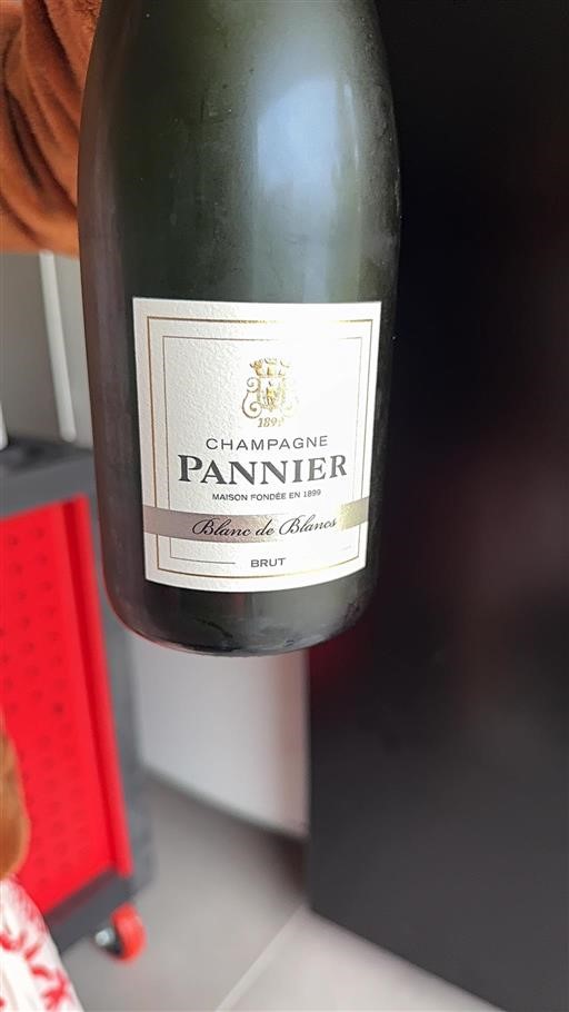 Champagne Pannier Blanc de Blancs Senza annata