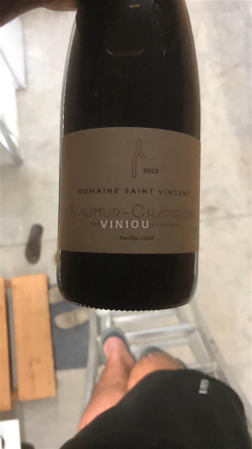 Loiretal Saumur-Champigny Domaine Saint Vincent 2023
