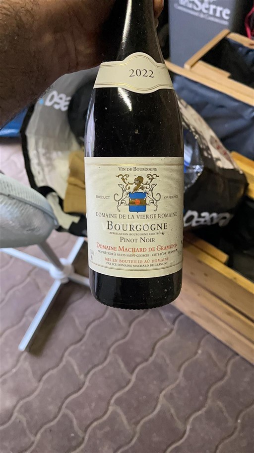 Bourgondië Bourgogne Domaine La Vierge Romaine 2022