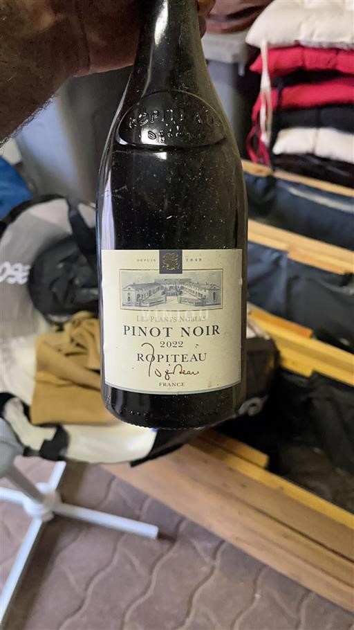 Bourgogne Ospecificerad Ropiteau Les Plants Nobles 2022