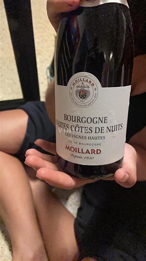 Bourgogne Ospecificerad Moillard Les Vignes Hautes 2018