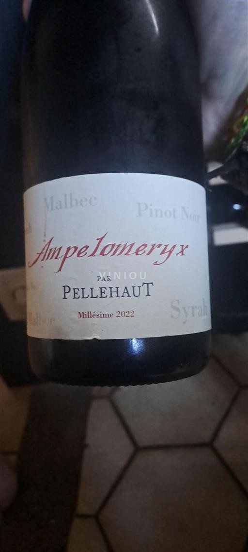 Südwestfrankreich Côtes de Gascogne Pellehaut Ampelomeryx 2022