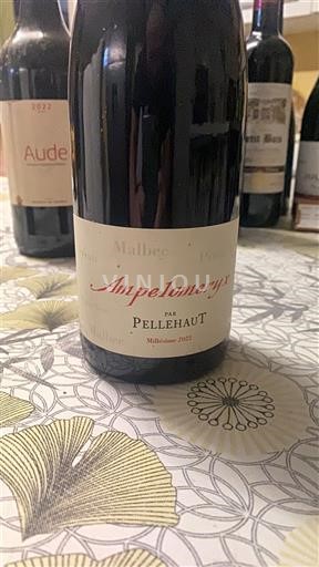 South West Côtes de Gascogne Pellehaut Ampelomeryx 2022