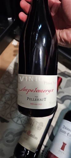 Sud-Ovest Côtes de Gascogne Pellehaut Ampelomeryx 2022